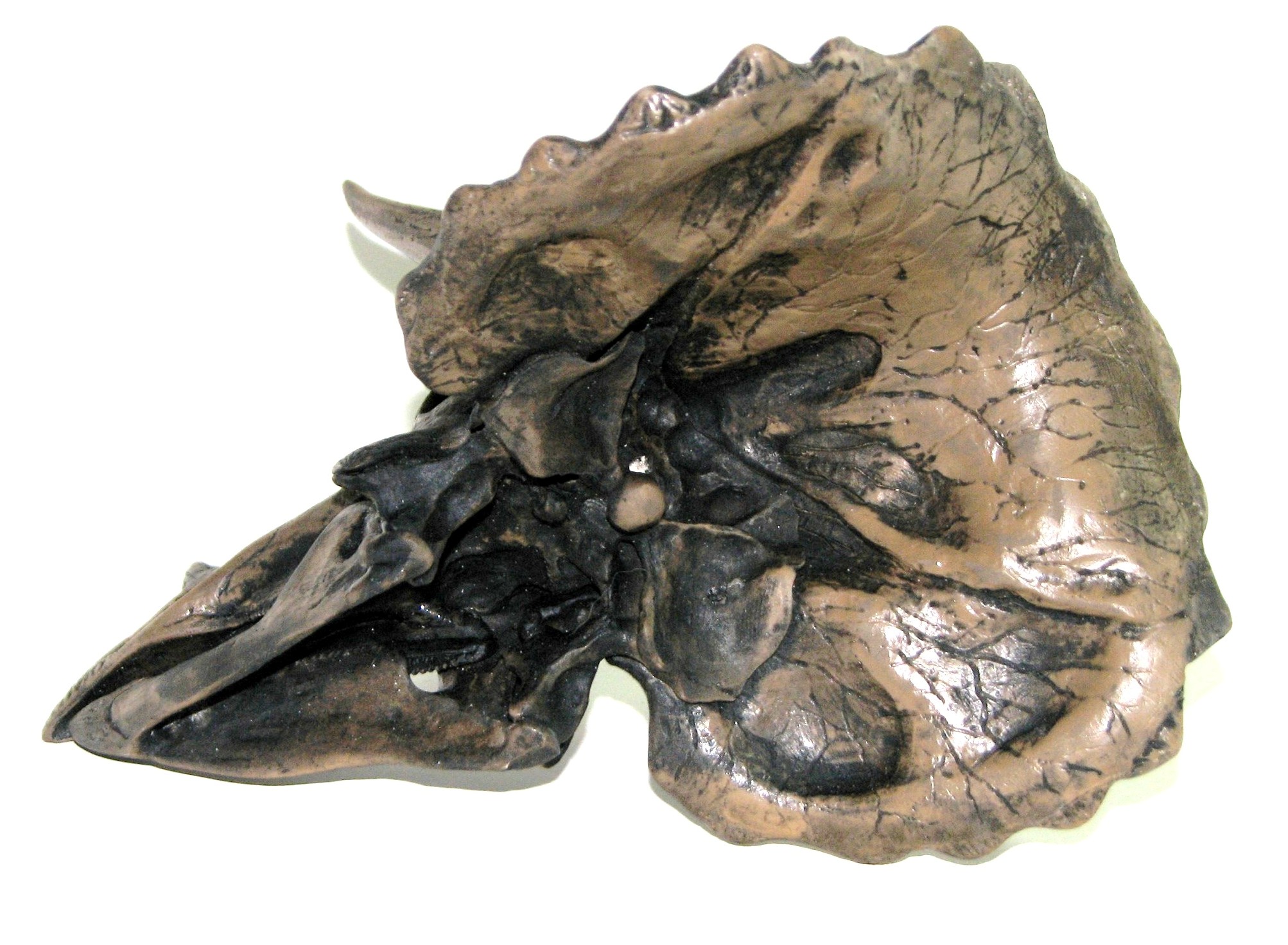 dinosaur with bump on back of head